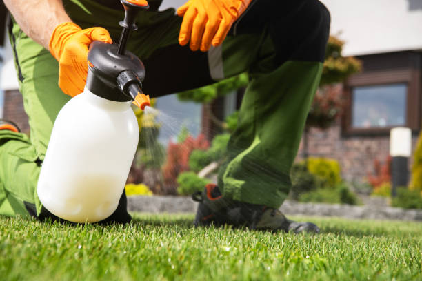 Fort Stockton, TX Pest Control Company