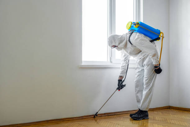 Pest Control Cost in Fort Stockton, TX