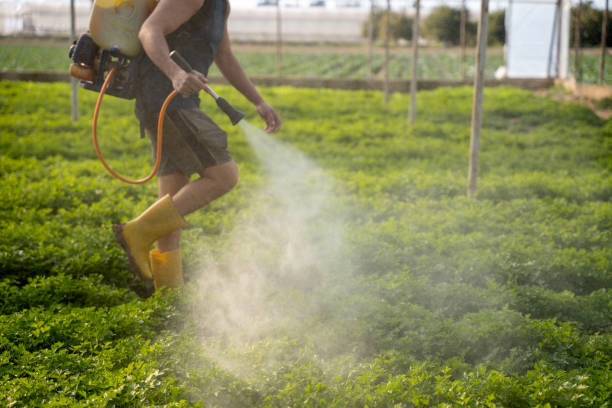 Best Wildlife Control Services  in Fort Stockton, TX