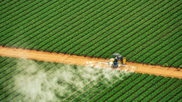 Best Pest Control for Homes  in Fort Stockton, TX